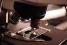 microscope science lab